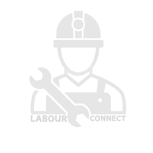 Labour Connect Logo